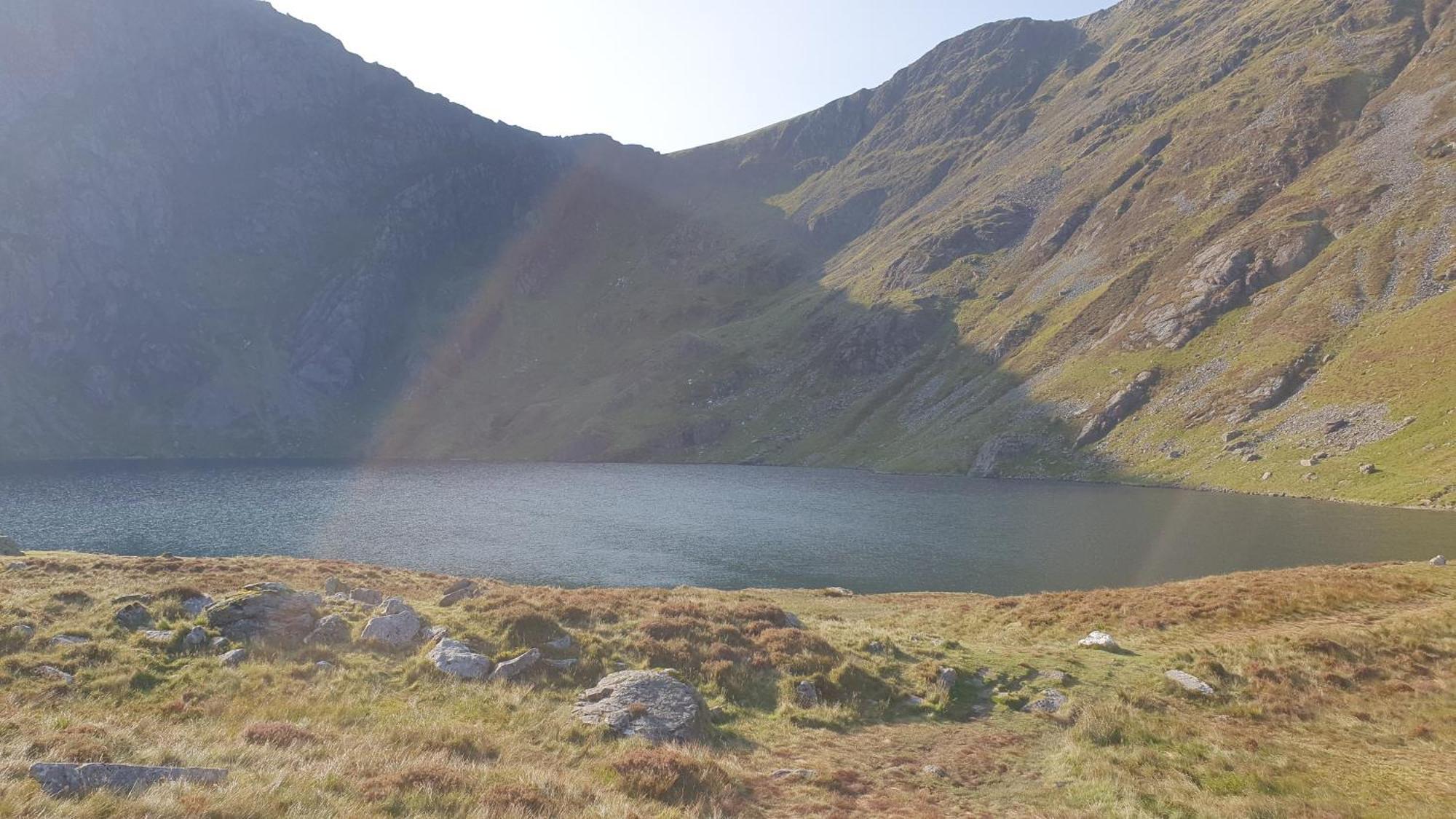 The Granary Corris On The Edge Of The Dyfi Forest Eksteriør bilde