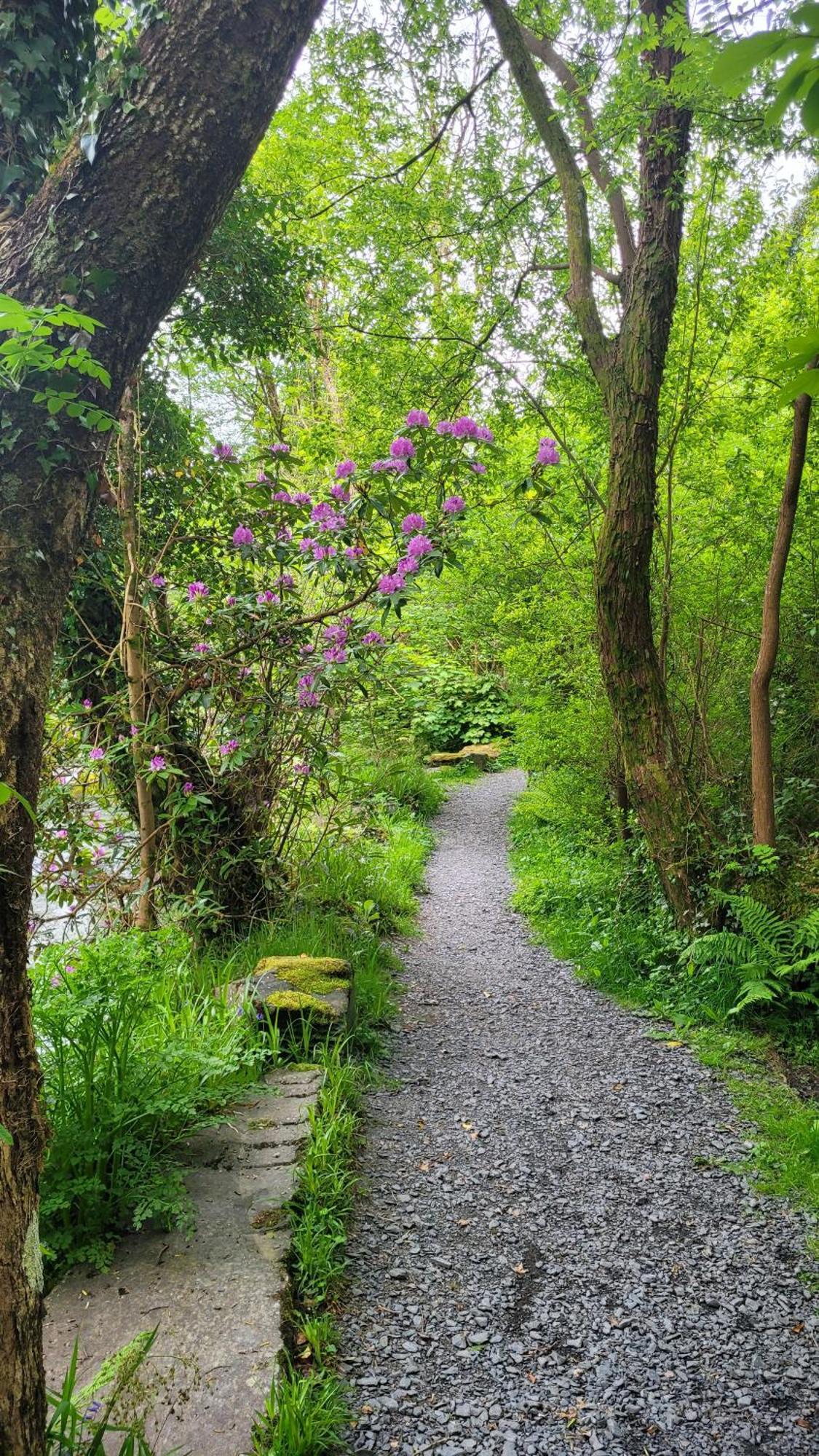 The Granary Corris On The Edge Of The Dyfi Forest Eksteriør bilde